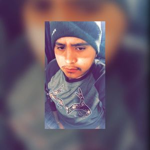 Meet your Posher, Benjamin